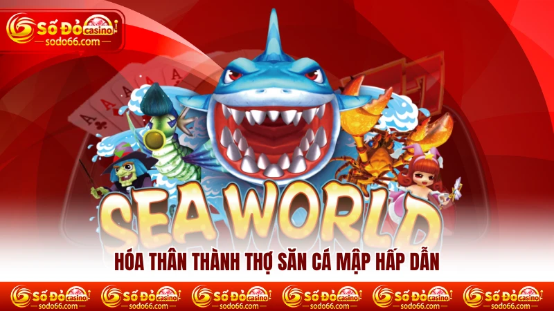 Hóa thân thành thợ săn cá mập hấp dẫn