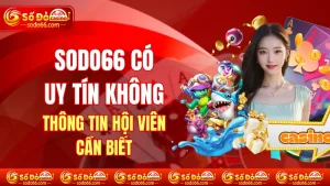SODO66 Có Uy Tín Không? Thông Tin Hội Viên Cần Biết