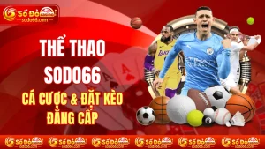 Cá Cược Thể Thao SODO66 - Đặt Kèo Thể Thao Đẳng Cấp